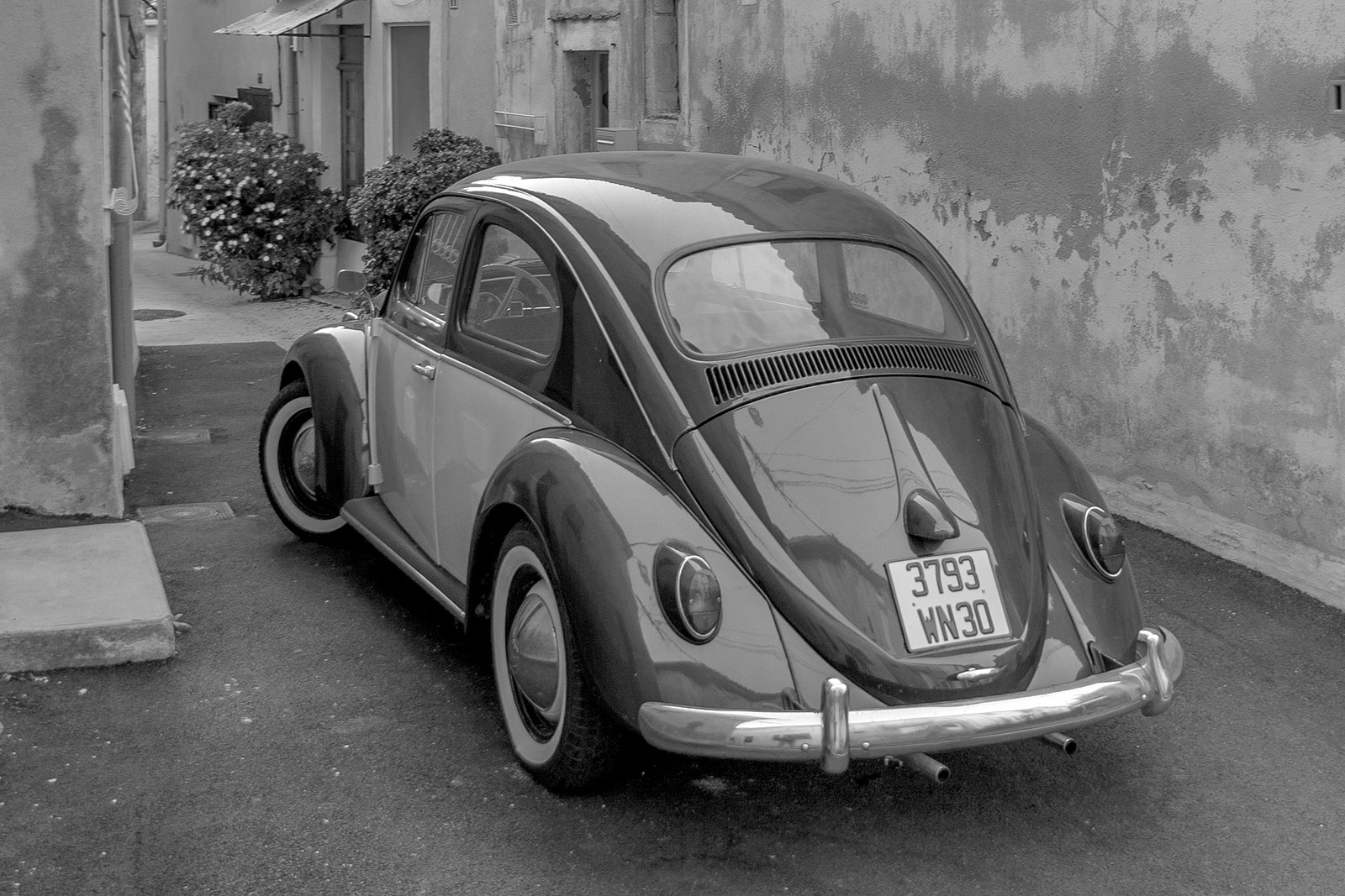 VW escarabajo.jpg